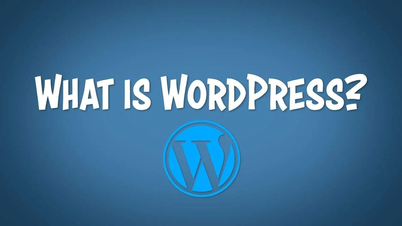 Best Blogging Tools to Earn More 3 Best CMS For 1st Business Websites