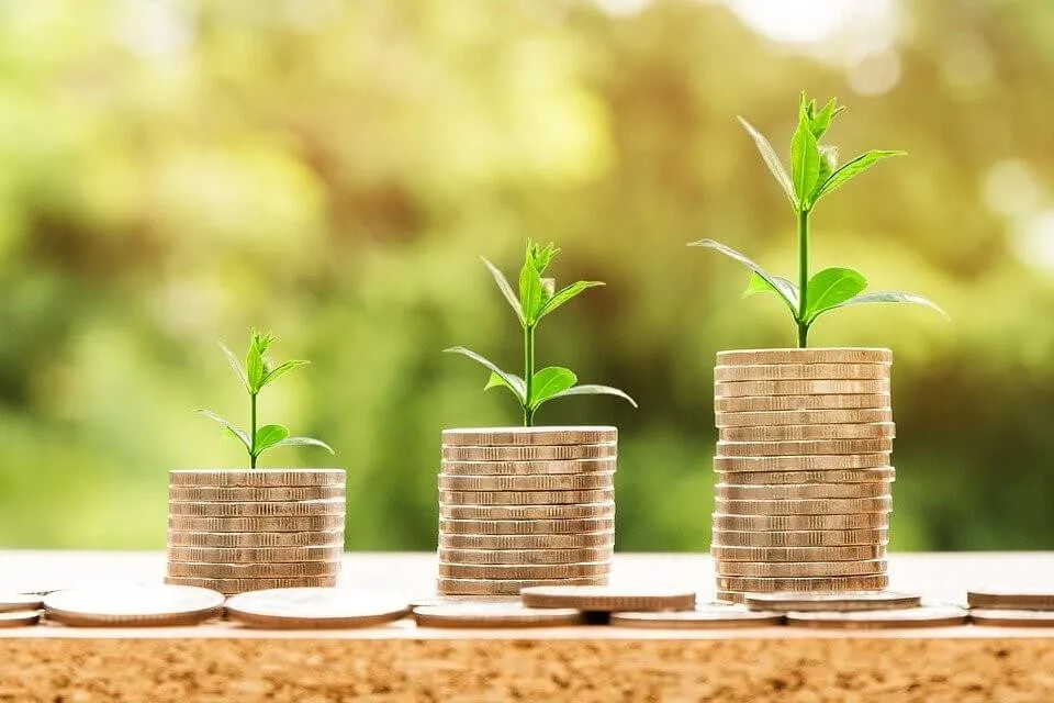 What's ROAS? - Tips for Increasing Your Paid Search 2 ROAS